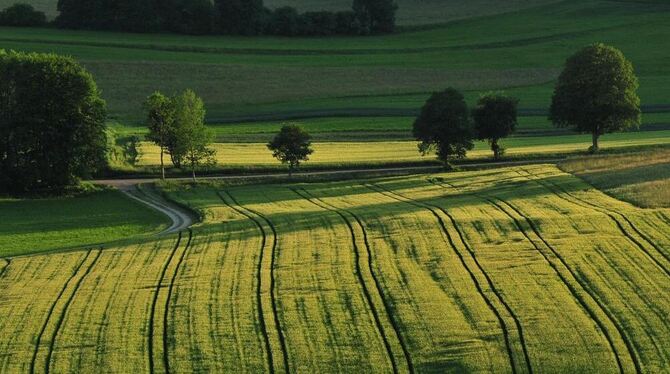 Abendstimmung bei Gomadingen: Wie ein Gemälde löst ein Landschaftsbild Gefühle aus. Doch auch nach objektiveren Kriterien ist se