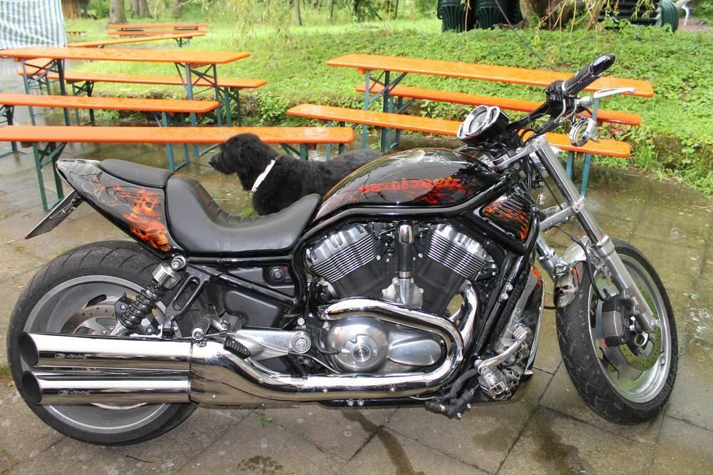 Harley-Davidson-Treff Übersberg Juli 2012