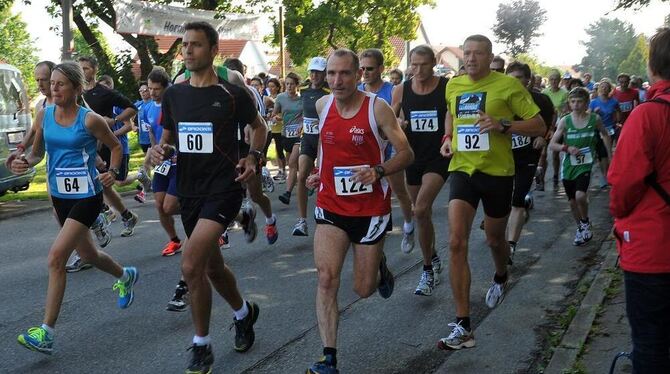 Schnell unterwegs im Hornissenlauf bei idealem Laufwetter.  FOTO: NIETHAMMER