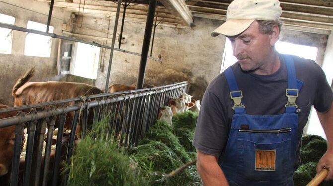 Ärger mit den Nachbarn: der Kleinbettlinger Landwirt Thomas Armbruster bei der Stallarbeit.  FOTO: NORBERT LEISTER