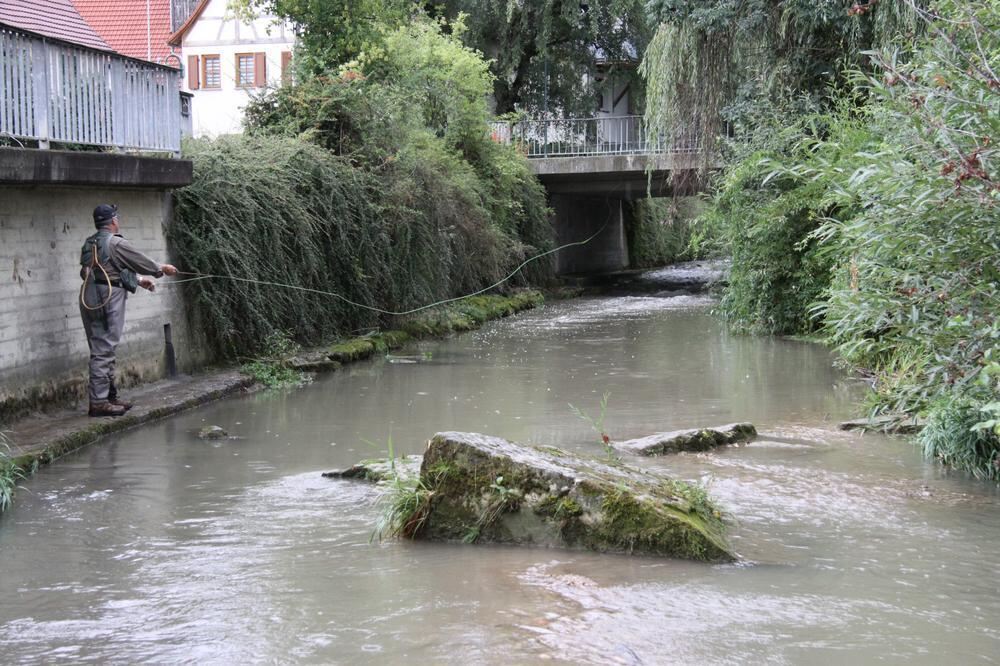 Fliegenfischen in der Steinlach August 2012