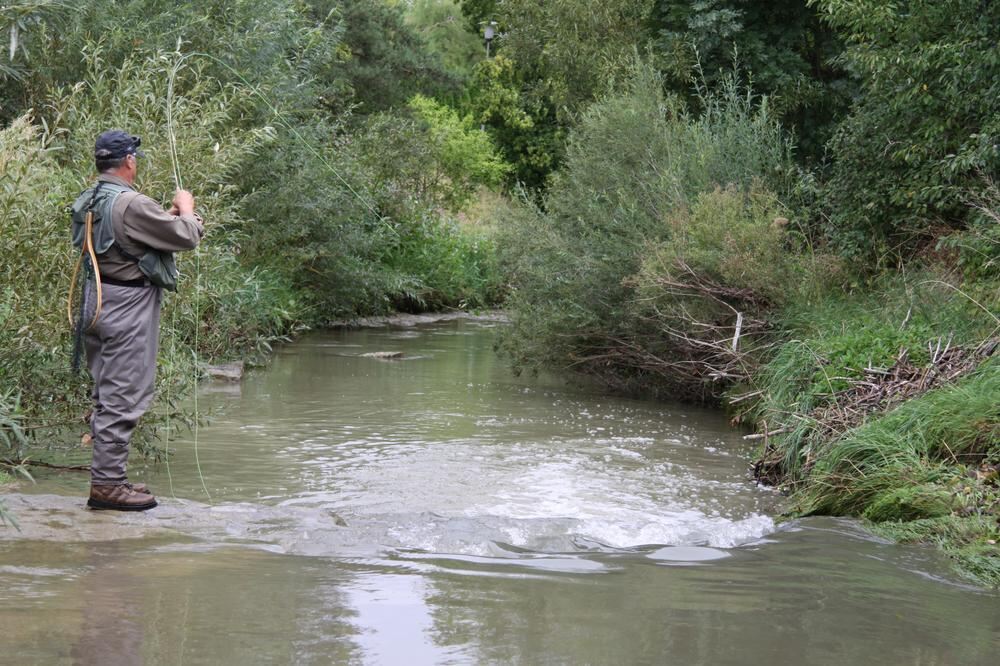 Fliegenfischen in der Steinlach August 2012