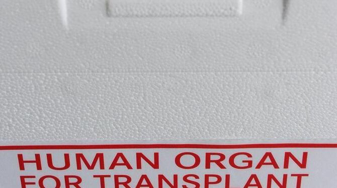 Eine Organtransportbox der Deutschen Stiftung Organtransplantation. Archivbild