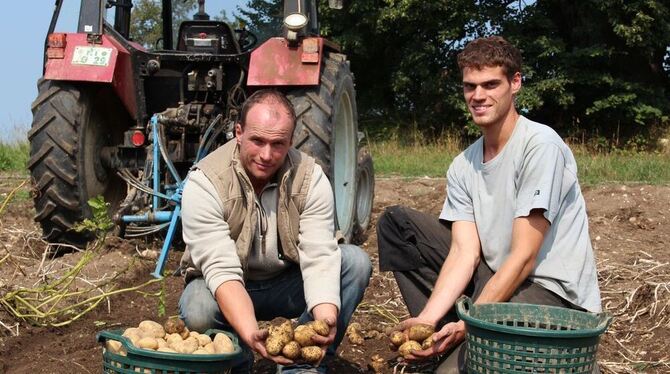 Belana ist die Favoritin von Oliver Blankenhorn (links) und Landwirtschaftspraktikant Jonas Reichenecker.