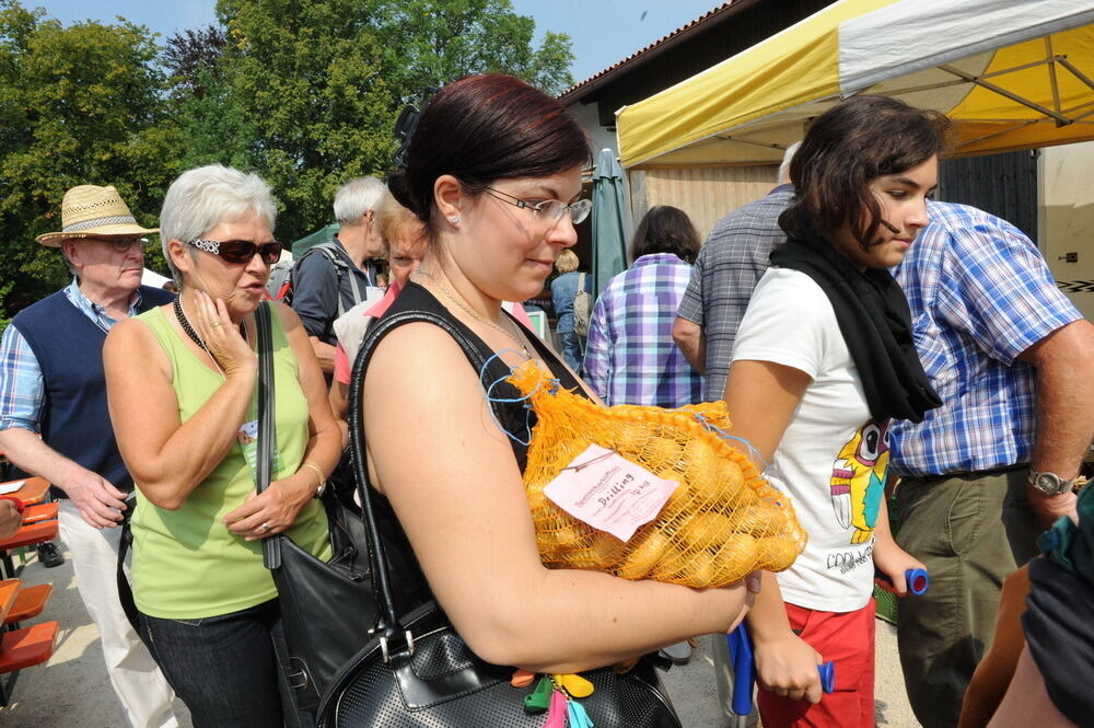 Kartoffelfest 2012