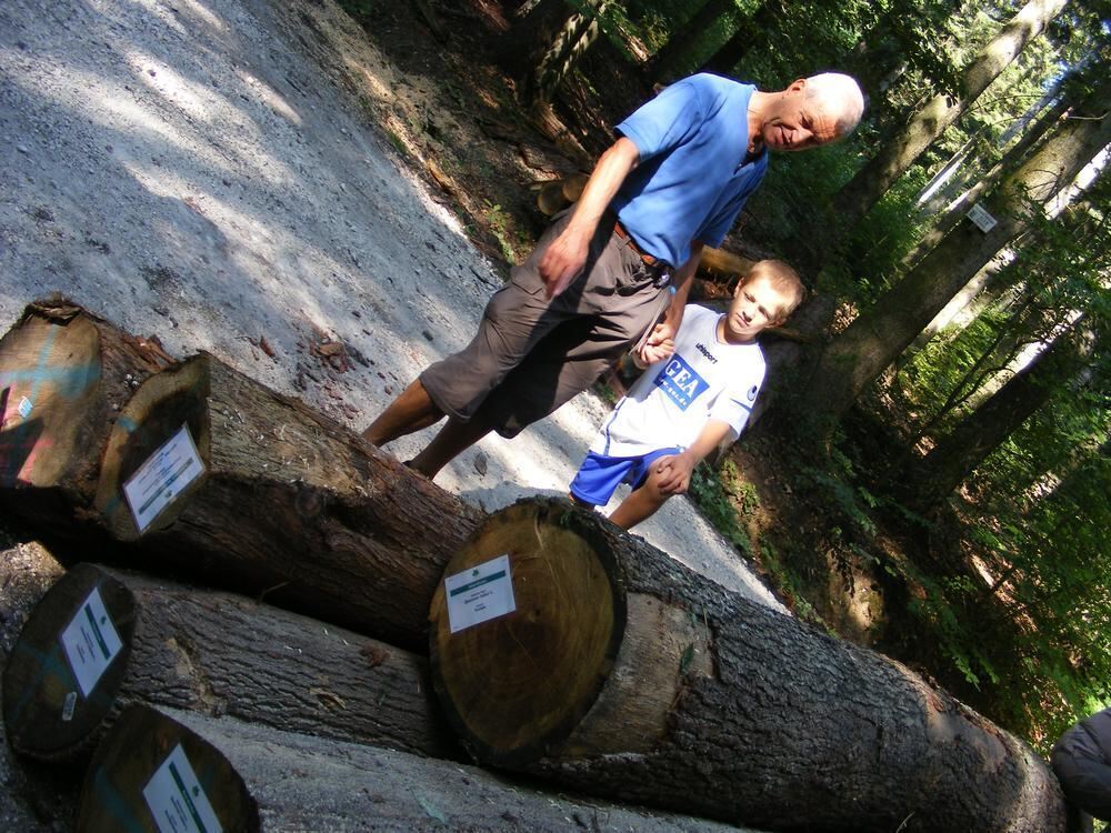 100 Jahre Arboretum in Grafenberg 2012