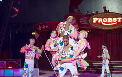 Zirkus Probst Reutlingen 2012