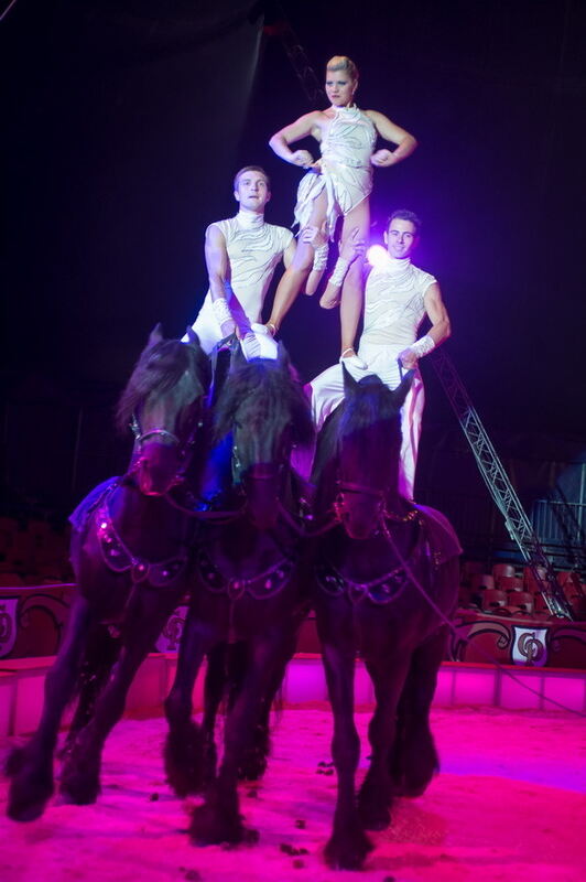 Zirkus Probst Reutlingen 2012