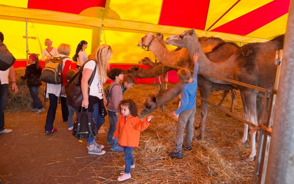 Zirkus Probst Reutlingen 2012