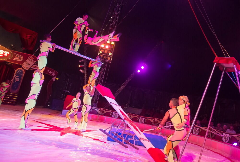 Zirkus Probst Reutlingen 2012