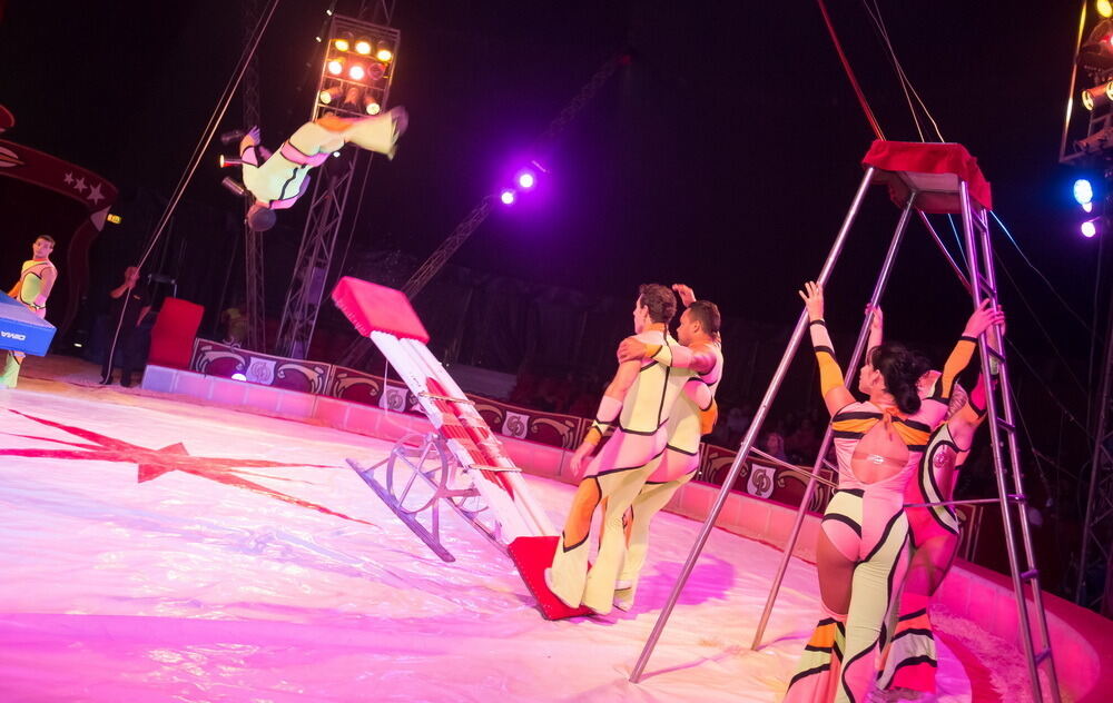 Zirkus Probst Reutlingen 2012