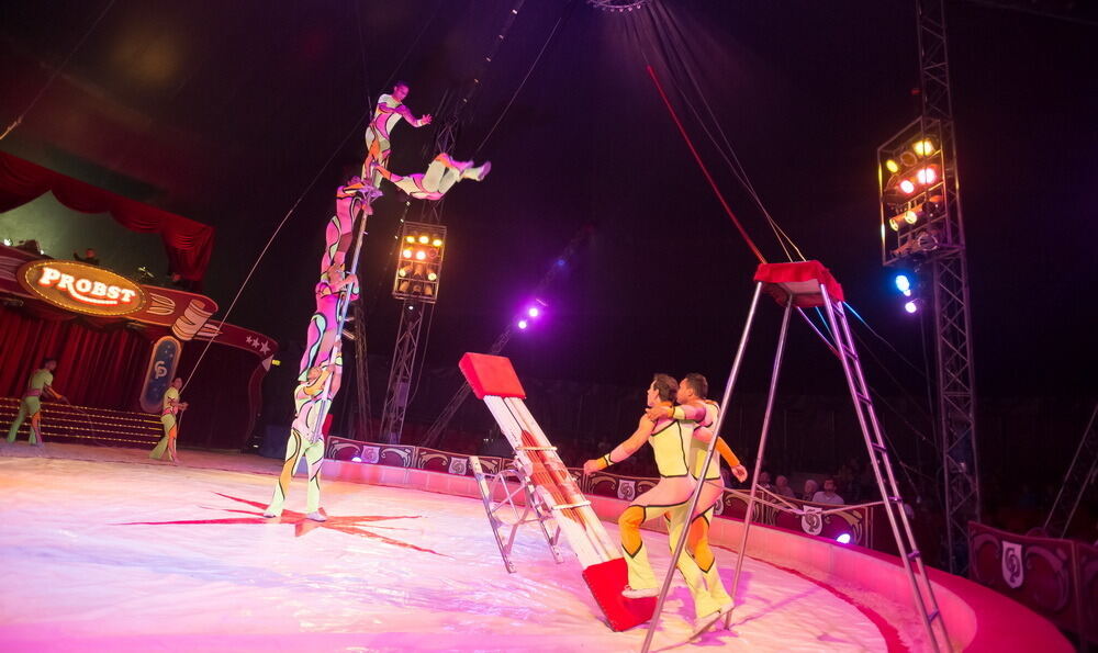 Zirkus Probst Reutlingen 2012