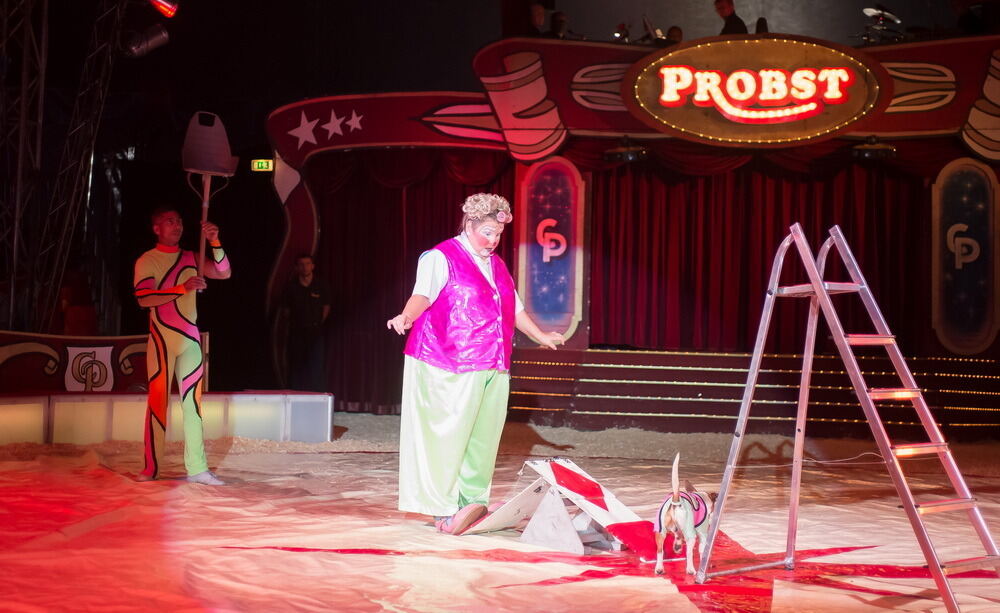 Zirkus Probst Reutlingen 2012