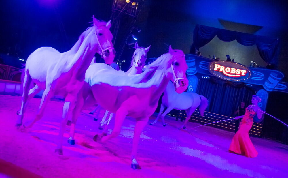 Zirkus Probst Reutlingen 2012