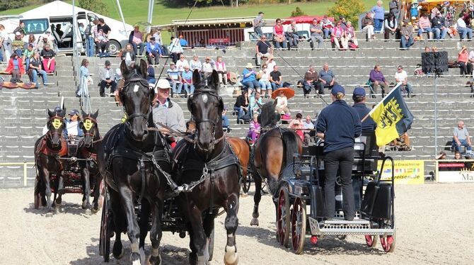 Fahrkunst in Vollendung zeigen 16 Gespannfahrer aus ganz Baden-Württemberg in der großen Zweispänner-Quadrille. 	GEA-FOTO: GEIGE