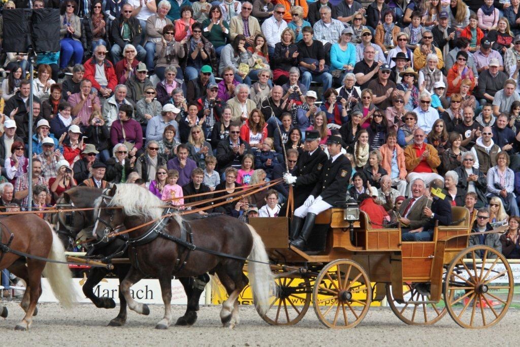 Hengstparade Marbach September 2012