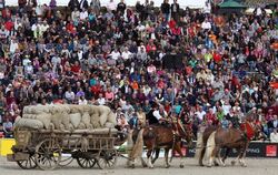 Hengstparade Marbach September 2012