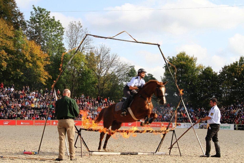 Hengstparade Marbach September 2012