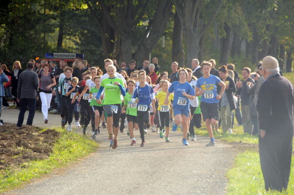 Volkslauf Bronnweiler Oktober 2012