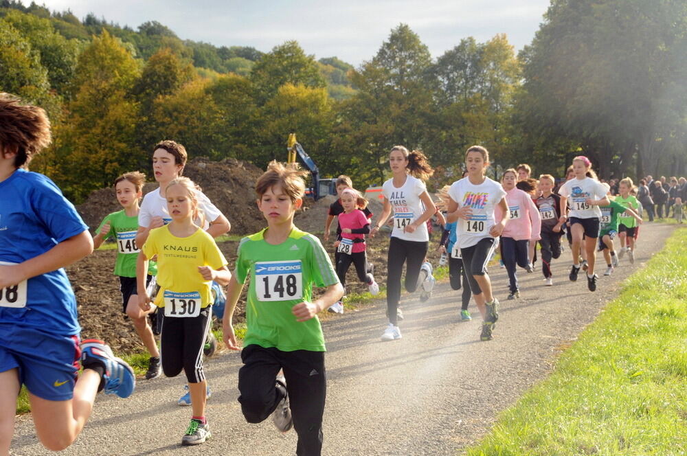 Volkslauf Bronnweiler Oktober 2012