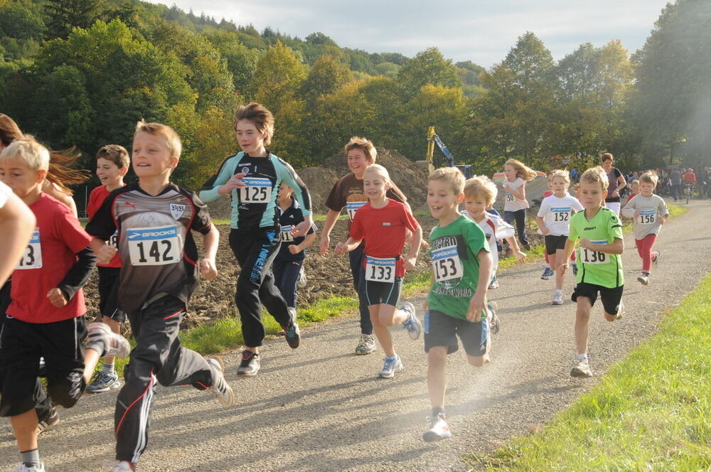 Volkslauf Bronnweiler Oktober 2012