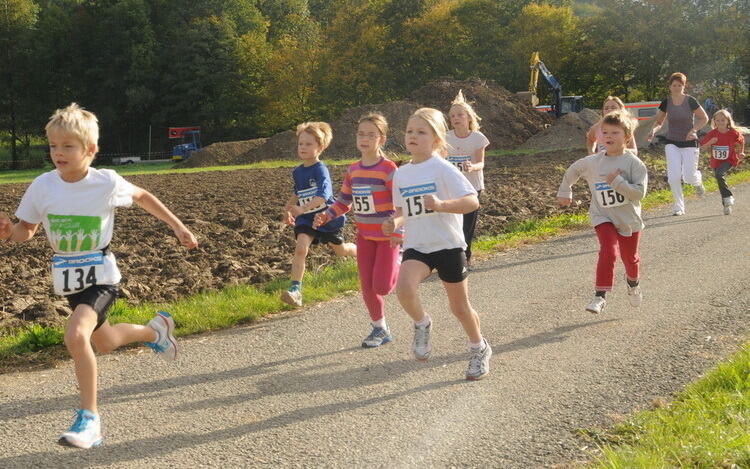 Volkslauf Bronnweiler Oktober 2012