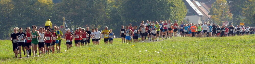 Volkslauf Bronnweiler Oktober 2012