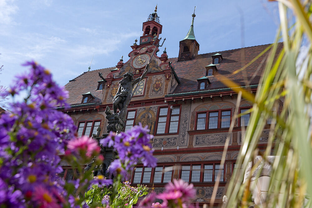 Regionalmarkt Tübingen 2012