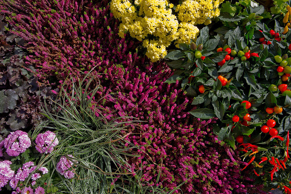 Regionalmarkt Tübingen 2012