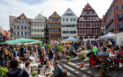 Regionalmarkt Tübingen 2012