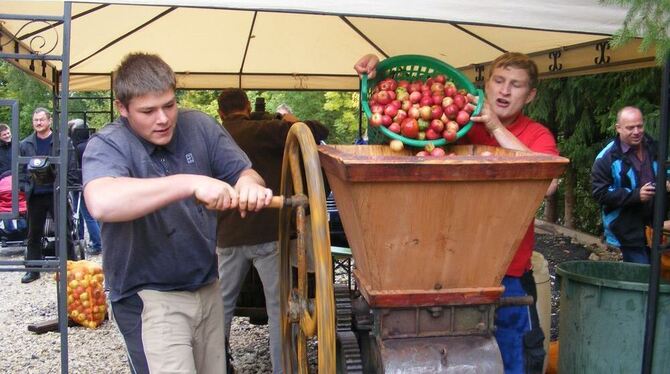 Das Bauwagen-Team Rübgarten machte am schnellsten Saft aus 250 Kilogramm Äpfeln. FOTO: BÖRNER