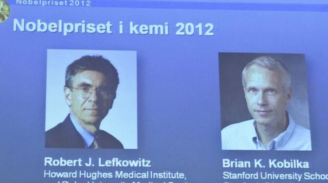 Untersuchten bestimmte Andockstellen auf der Zellwand, die Signale aufnehmen: Robert Lefkowitz (l.) und Brian Kobilka. Foto: