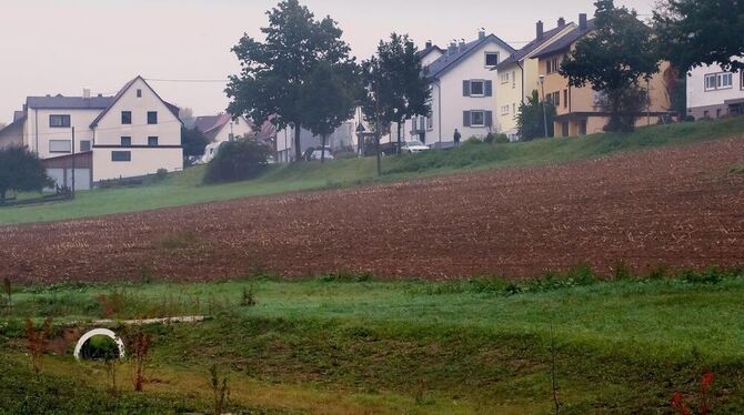 Unkraut »führt« er, manchmal auch Schaum und sogar Ratten, Wasser allerdings fast nie: der renaturierte Wiesenbach, der seinen Rommelsbacher Anrainern mitunter nicht nur im übertragenen Sinne stinkt.FOTO: TRINKHAUS