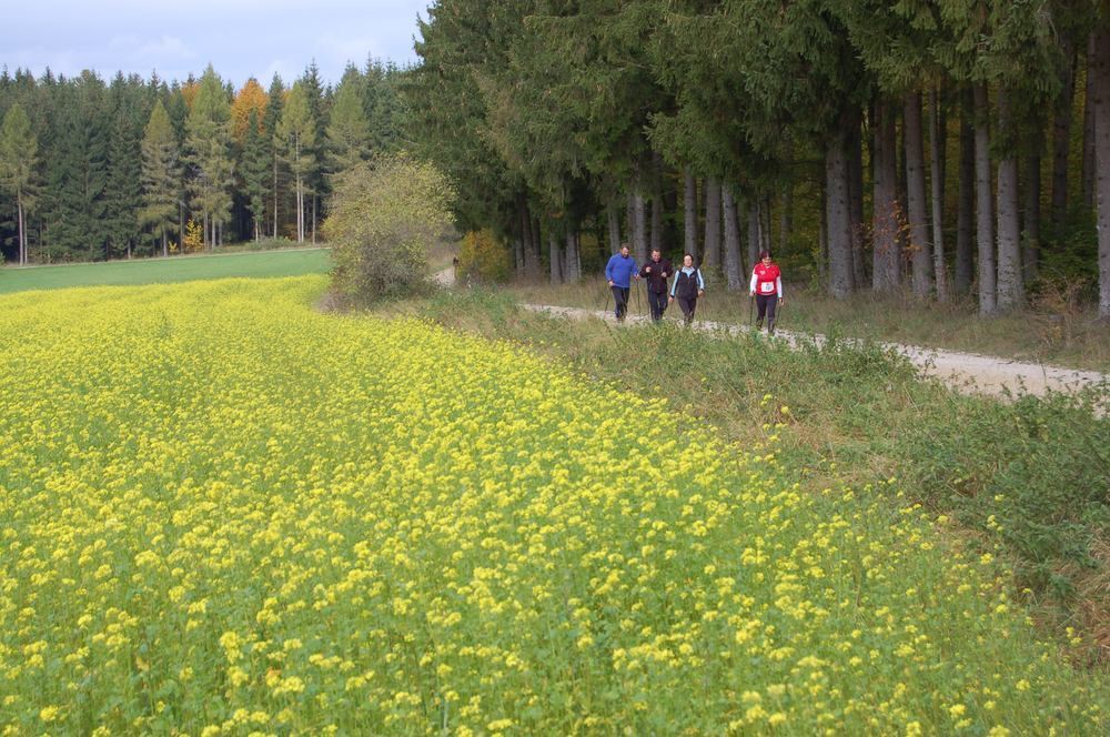 8. Stöckles-Cup Trochtelfingen 2012