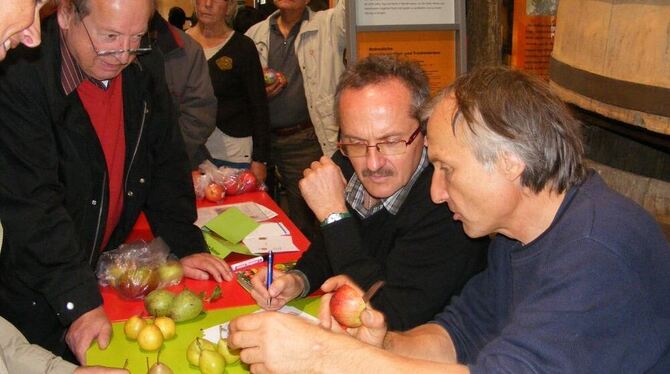 Sie blieben kaum eine Antwort schuldig beim Bestimmen von Obstsorten: Die Experten Ulrich Schroefel (Mitte) und Hans-Joachim Bannier (rechts).   FOTO: TBÖ