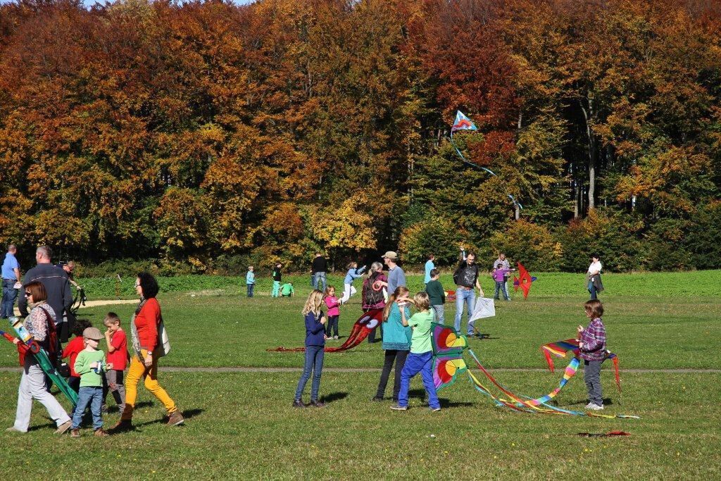 Drachenfest bei Hülben 2012