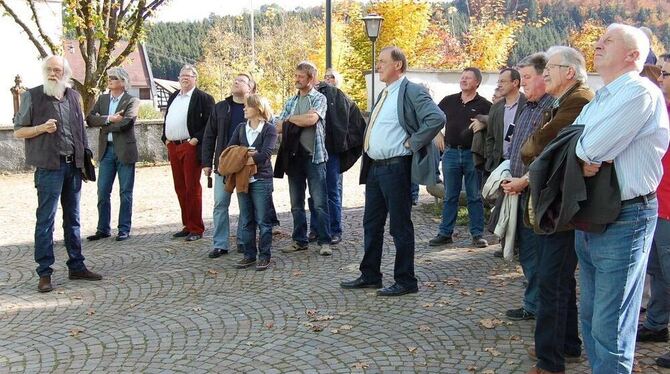 Architekt Winfried Winkelmann erläutert dem Gemeinderat die aufwendigen Maßnahmen am Schlossgiebel. Der Schlussanstrich an Trochtelfingens großer Baustelle wird zur Sicherheit wohl bis ins Frühjahr warten müssen. FOTO: HÄUSSLER