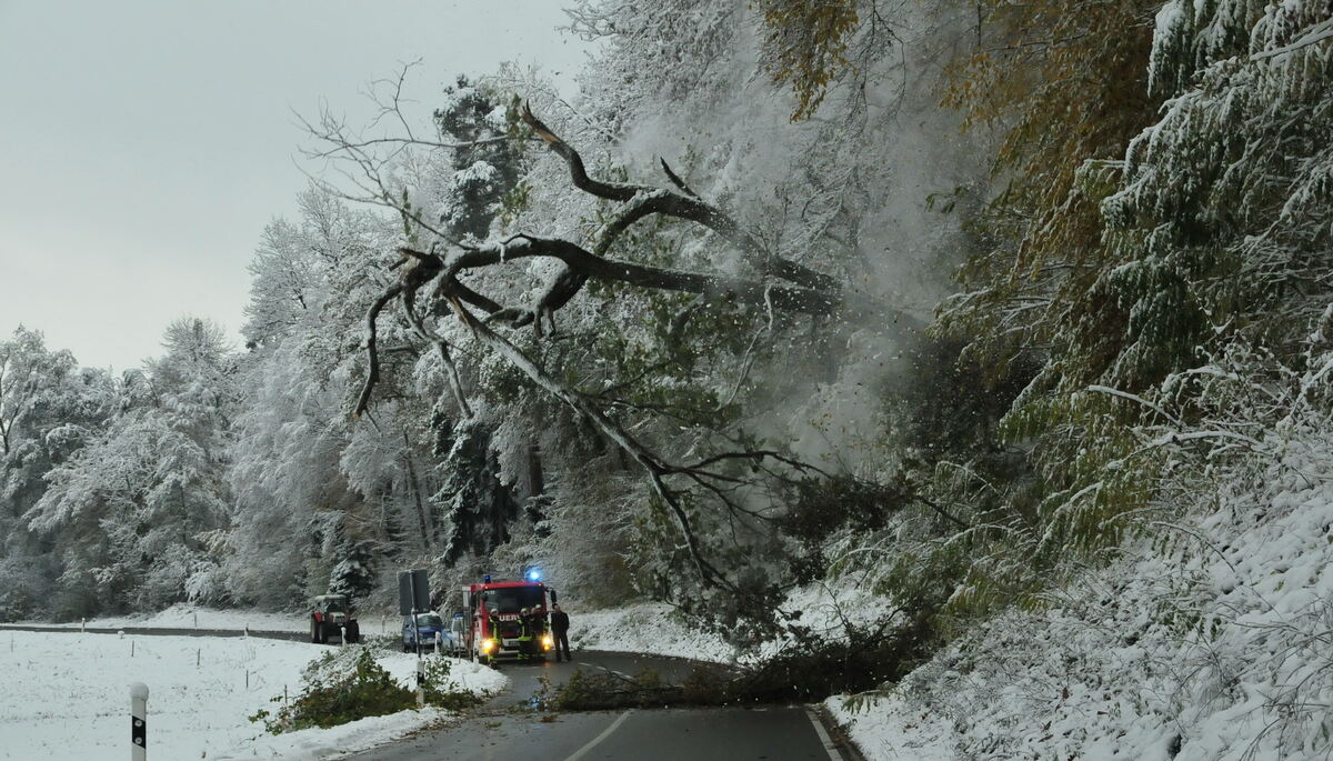 wintereinbruch_2012