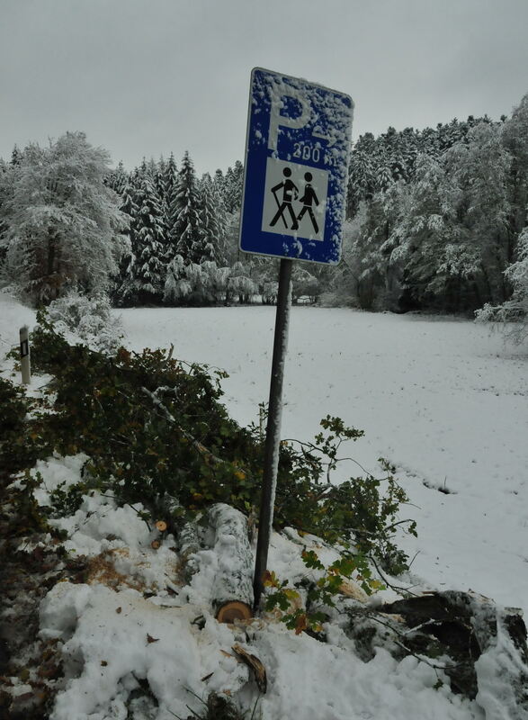 wintereinbruch_2012