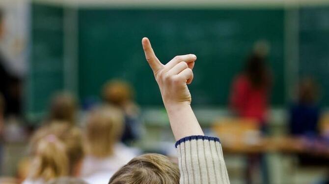 Nur 23 000 Schüler schafften es nach oben. Foto: Patrick Pleul/Archiv