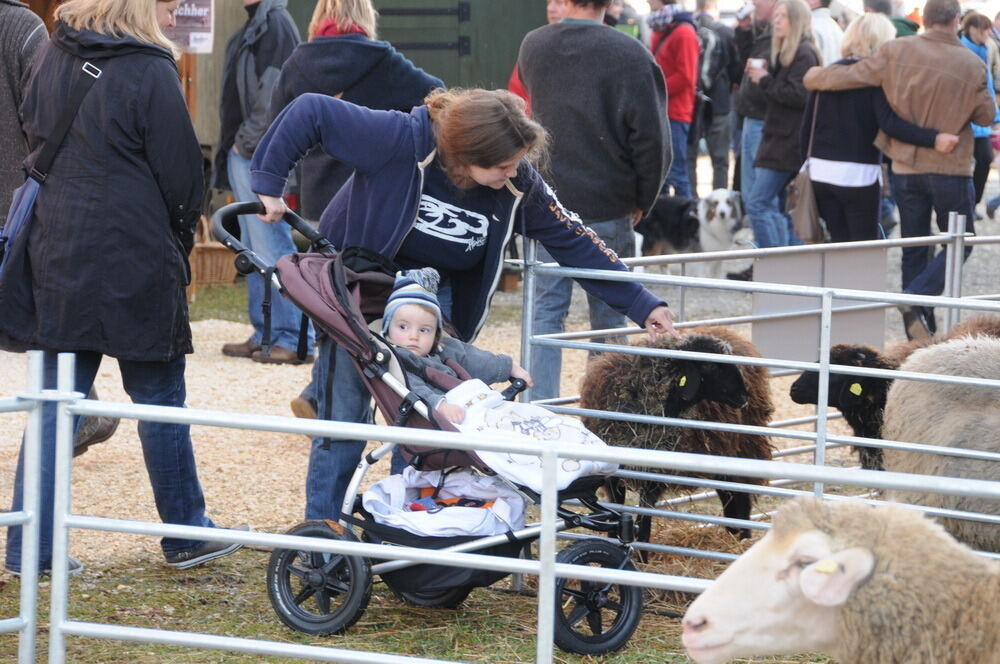 Münsingen Messe schön und gut 2012