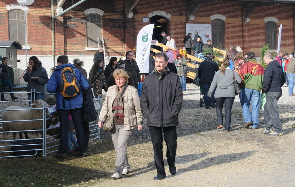 Münsingen Messe schön und gut 2012