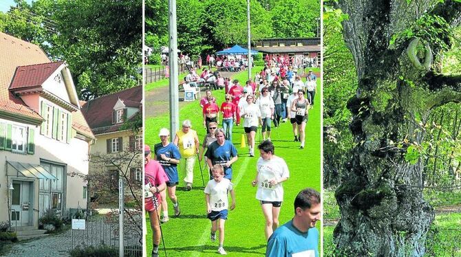 Was ist Eningen - schnuckliges Heimatgefühl, Fußballkids-Aktion oder Natur pur auf der Weide?  GEA-ARCHIV-FOTOS: BARAL