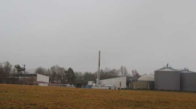 Wie stark sollen Gewerbegebiete wie das auf der Engstinger Haid hinter Grüngürteln versteckt werden? Diese Frage diskutierten jetzt die Mitglieder der Verbandsversammlung. GEA-FOTO: DEWALD