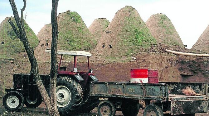 Die Trullis bieten der überwiegend in der Landwirtschaft tätigen Bevölkerung im Harran traditionelle Unterkünfte.