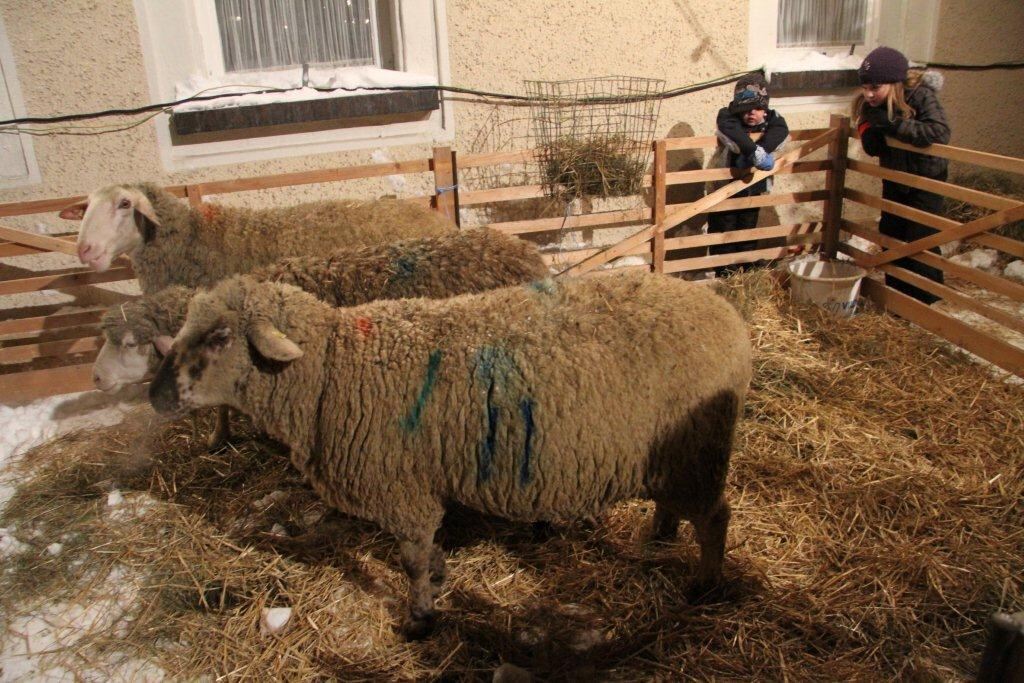 Weihnachtsmarkt Zainingen.