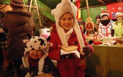 Flair in der Marktstraße und ein kulinarisches Angebot mit vielen Klassikern bot der Trochtelfinger Christkindlesmarkt.