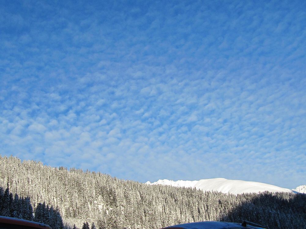 GEA-Skiausfahrt Gargellen 2012