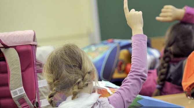 Die Leistungen deutscher Grundschüler stehen auf dem internationalen Prüfstand. Foto: Frank Leonhardt/Archiv