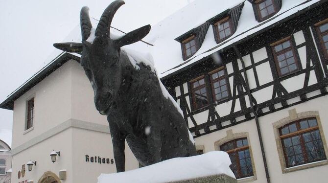 Während vor dem Rathaus der Geißbock wacht, brüten drinnen Bürgermeister und Kämmerer über die Zukunft, die so manches bislang nicht kalkulierbare Risiko birgt. So müssen beispielsweise in die Sanierung der Schillerschule Millionen gesteckt werden, obgleich Dettingen derzeit nicht weiß, was aus der Schule wird.  GEA-ARCHIVFOTO: THOMAS FÜSSEL